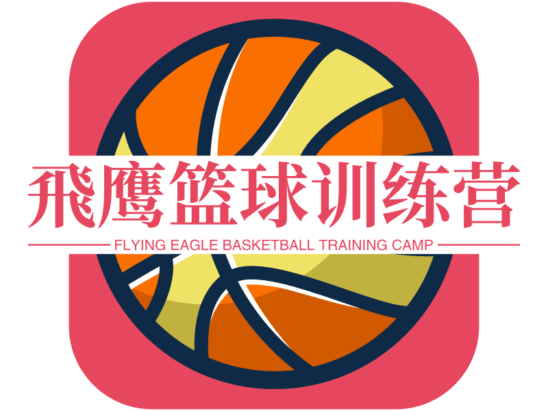 飞鹰篮球训练营logo设计案例