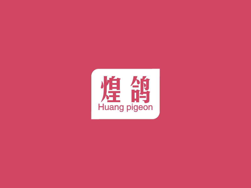 煌鸽 - Huang pigeon