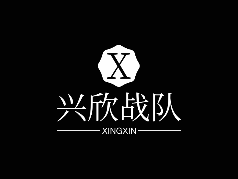 兴欣战队 - XINGXIN