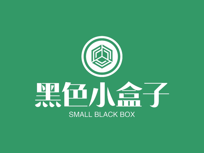 黑色小盒子 - SMALL BLACK BOX