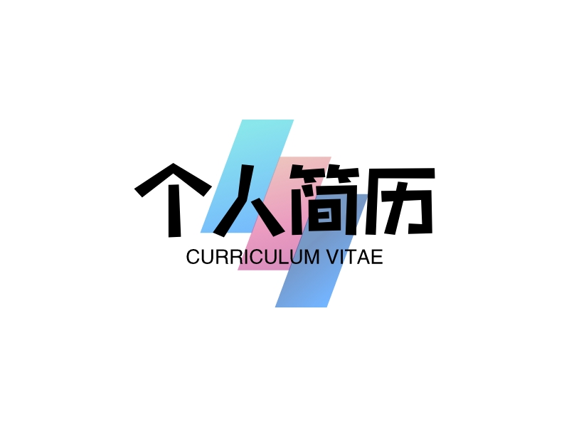 个人简历 - CURRICULUM VITAE