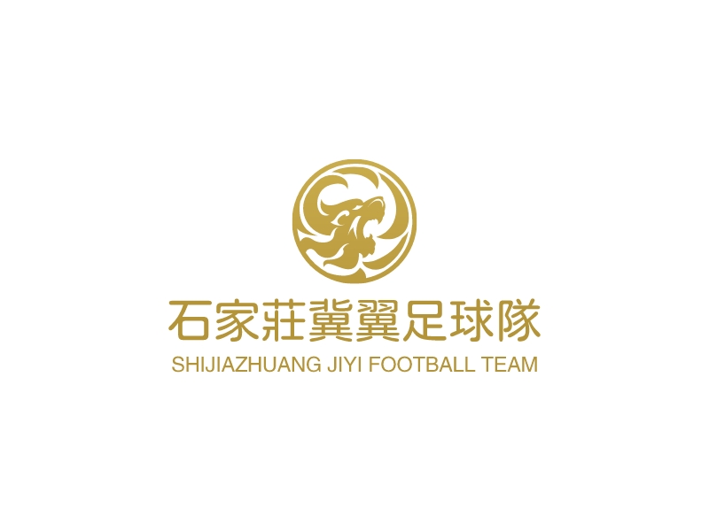 石家庄冀翼足球队 - SHIJIAZHUANG JIYI FOOTBALL TEAM