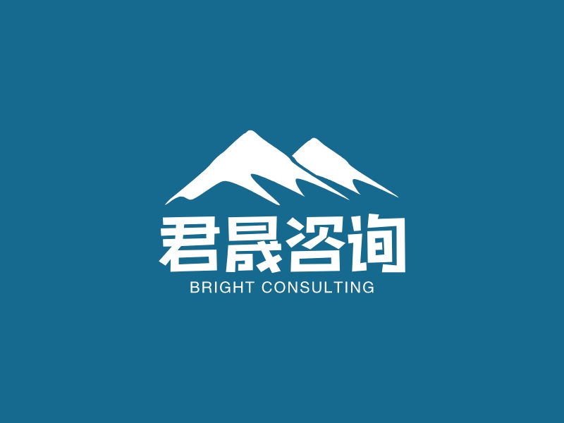 君晟咨询 - bright consulting