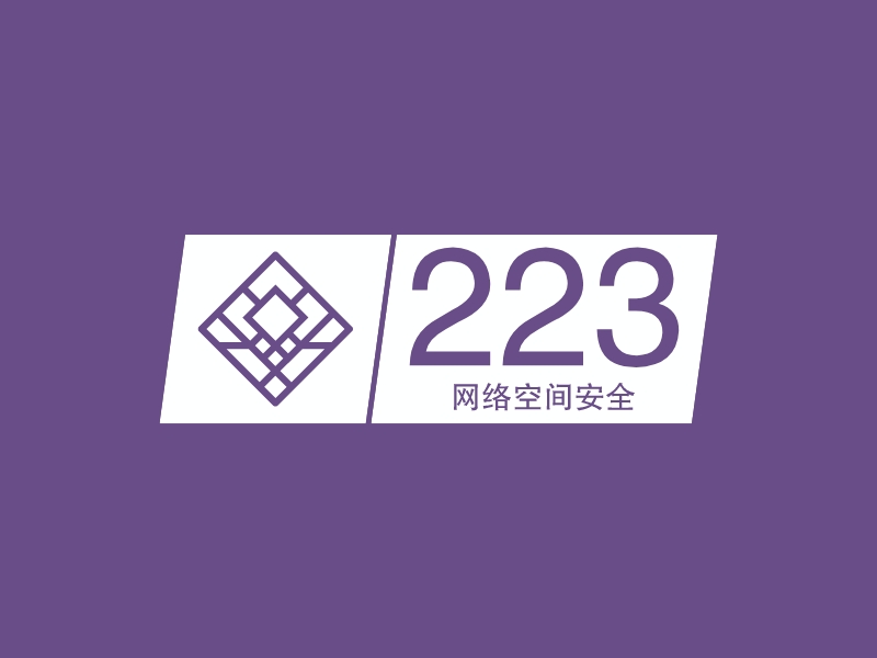 223 - 网络空间安全