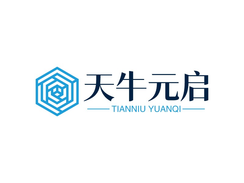 天牛元启 - TIANNIU YUANQI