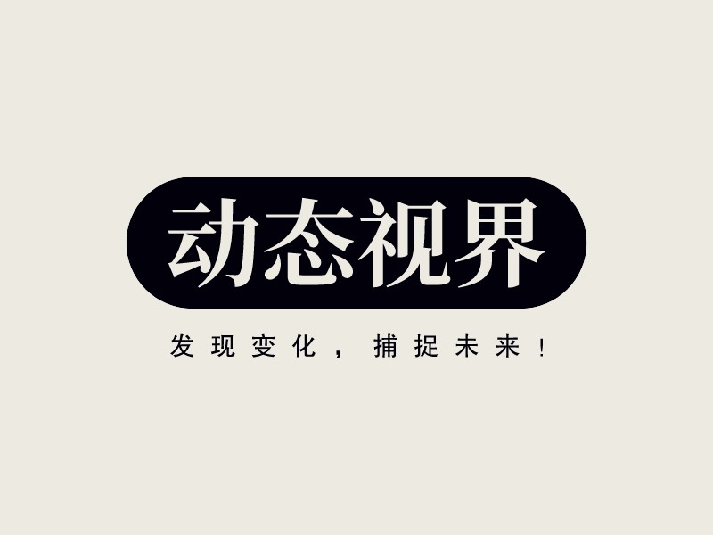 动态视界LOGO设计